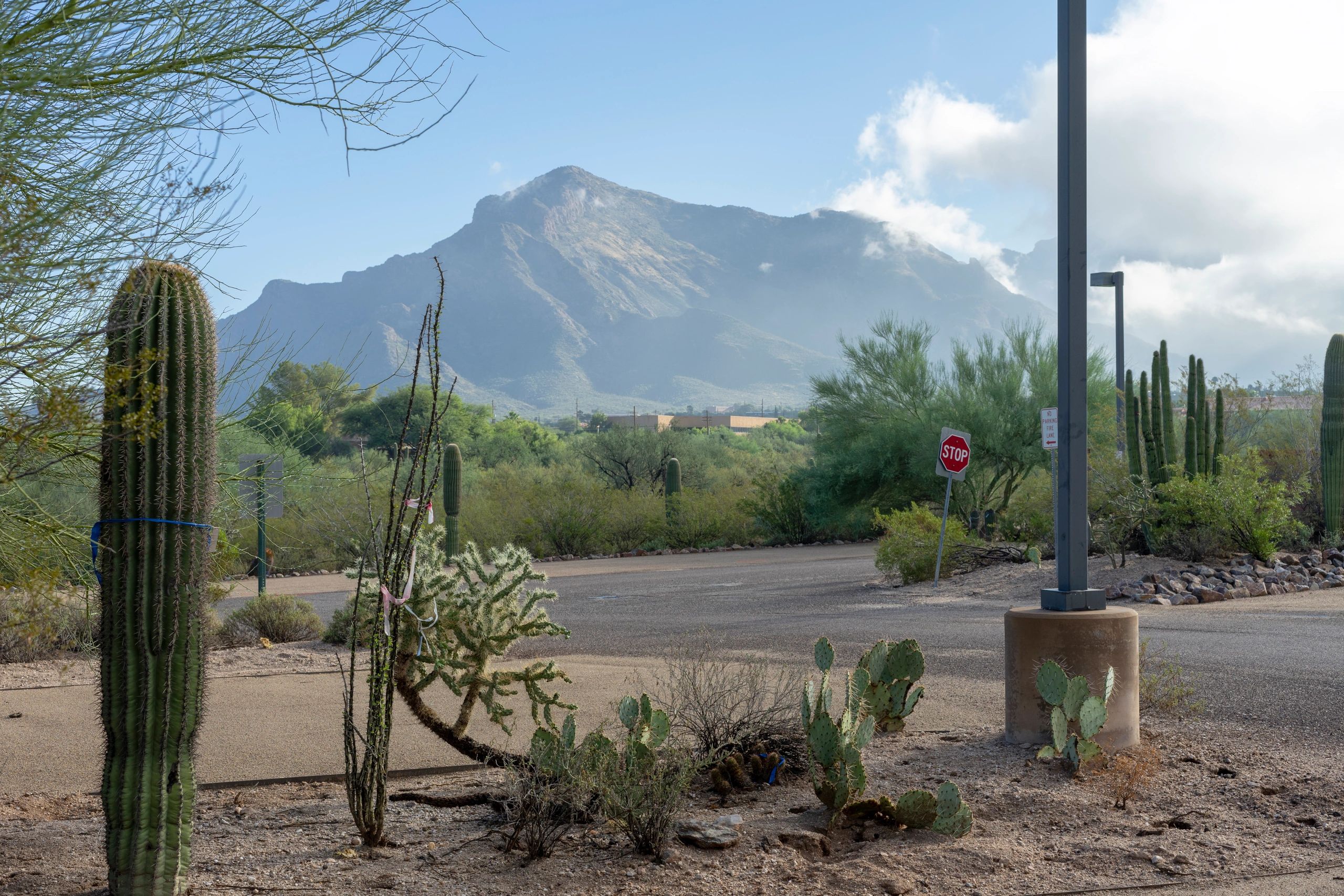 Newman & Ahlers PLLC